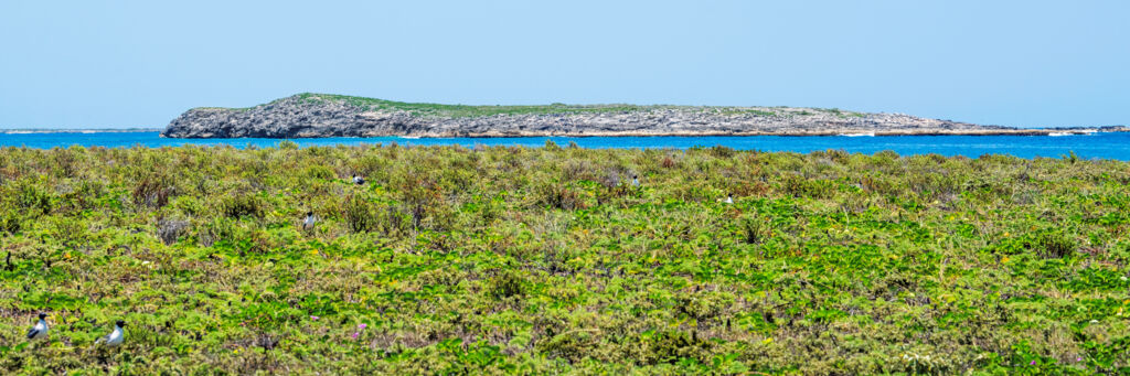 Pear Cay and East Cay