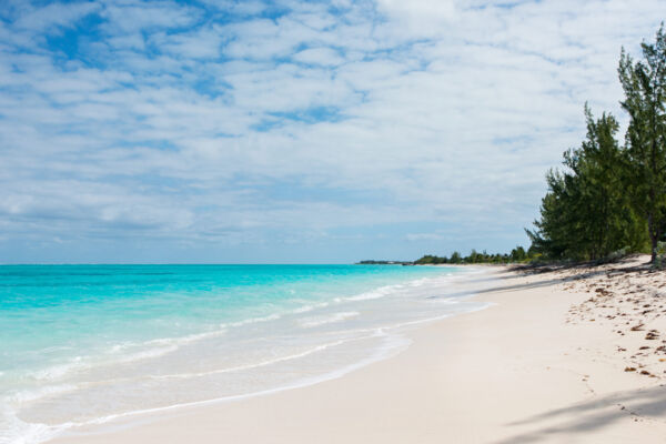 Pelican Beach in the Turks and Caicos
