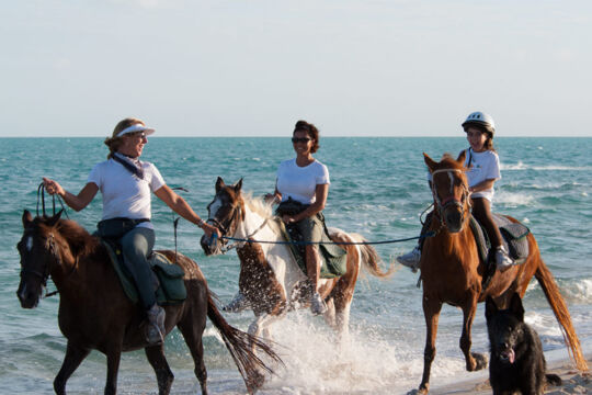 Guided sunset pony ride on Long Bay Beach