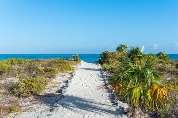 Footpath to Pumpkin Bluff Beach