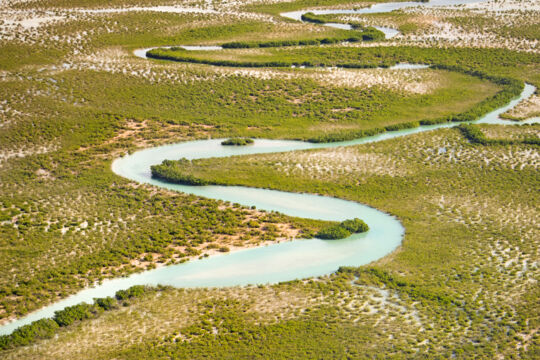 Aerial view of mangrove tidal creek