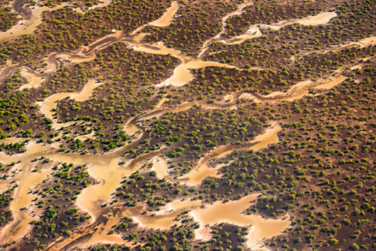 Aerial view of red mangroves and microbial mats