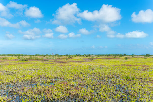 Ramsar Nature Reserve on Middle Caicos