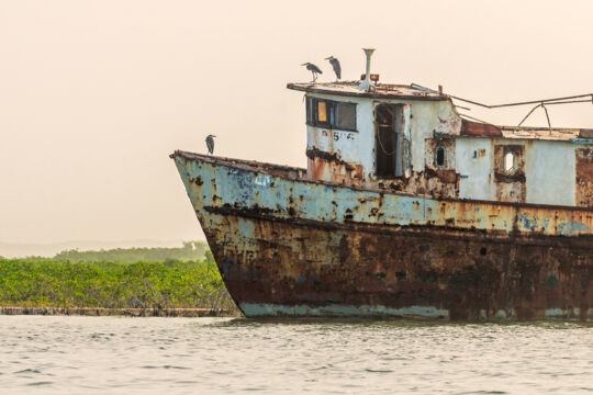 Shipwreck at dawn in the Ramsar Nature Reserve.
