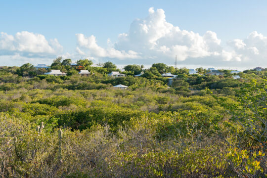 Homes and undeveloped land at Richmond Hills, Providenciales