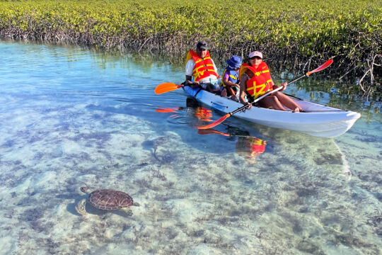 Kayak and turtle in the Turks and Caicos