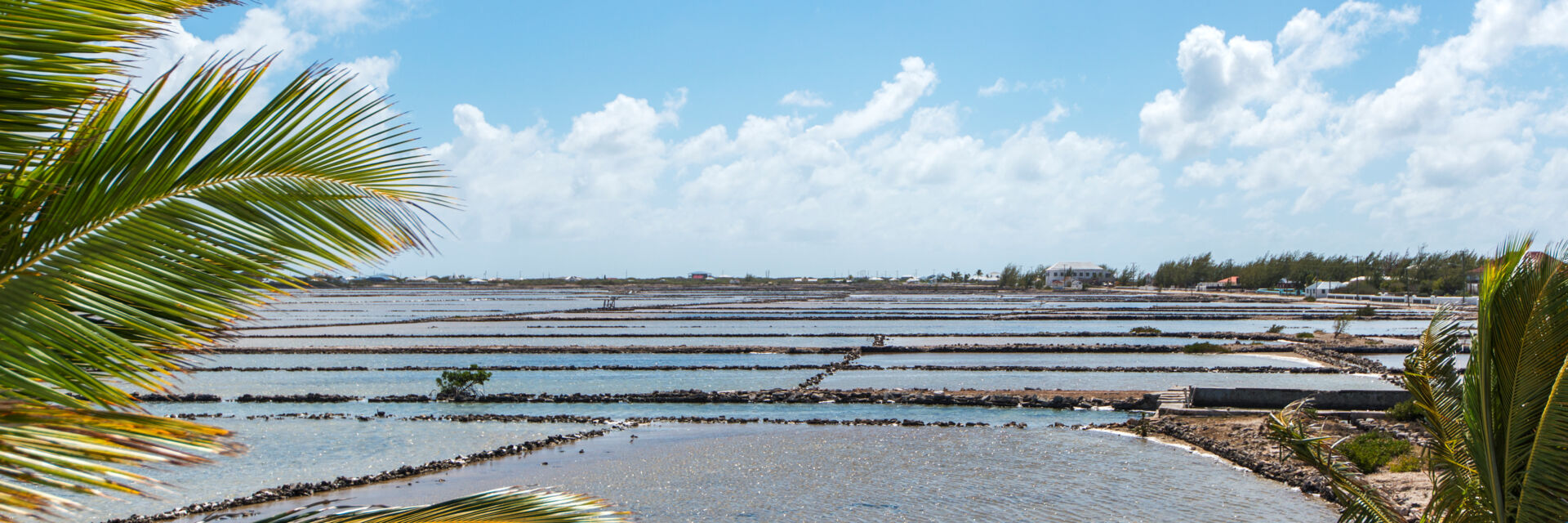 solution for x Salinas Caicos and Visit Cay Islands Salt Turks solution for x Salinas Caicos and Visit Cay Islands Salt Turks