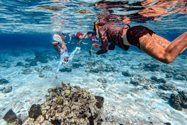 Lionfish spearing