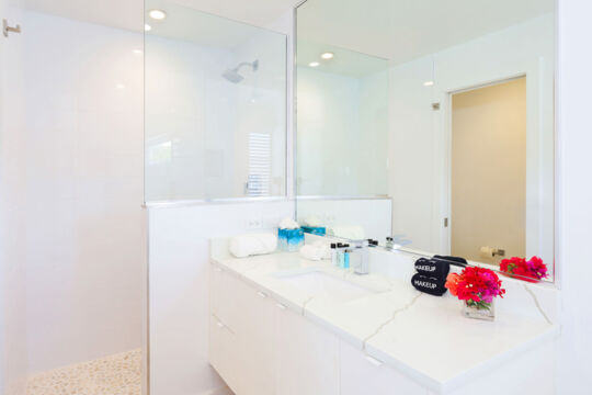 Modern bathroom with large sink and shower