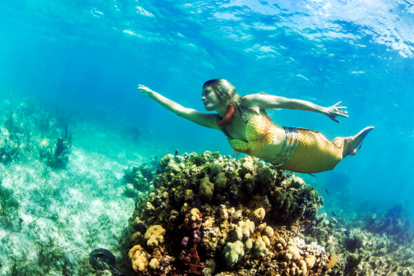 Mermaid on a reef