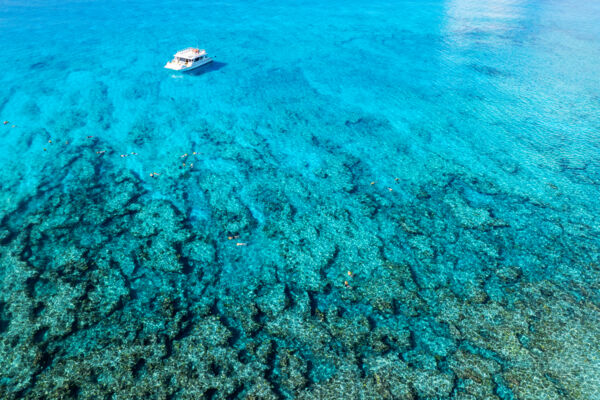 Aerial view of snorkelers on the barrier reef off Grace Bay Beach.