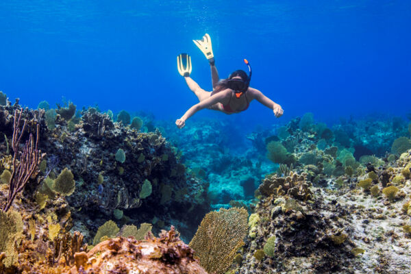 best snorkeling tours in providenciales