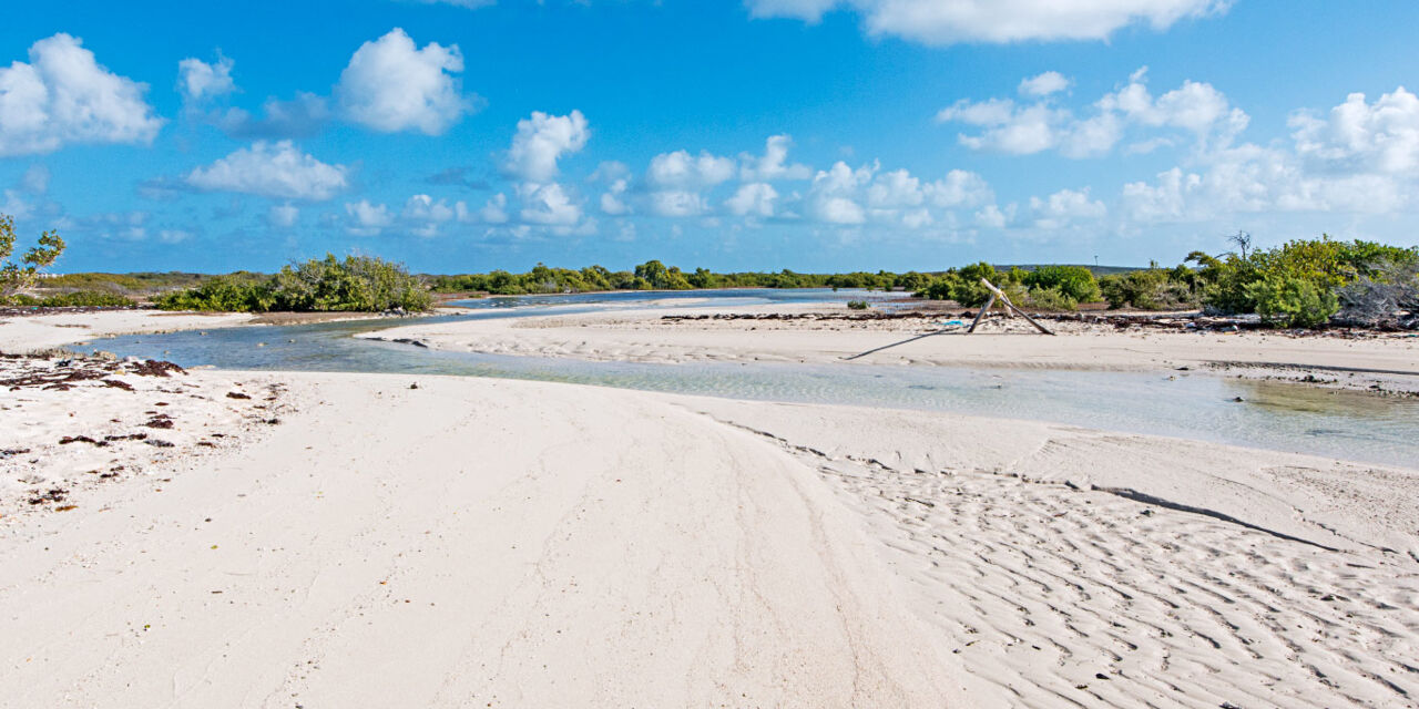 South Creek Salt Cay Visit Turks And Caicos Islands