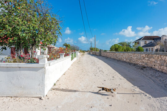 Quiet street and homes in South District, Salt Cay