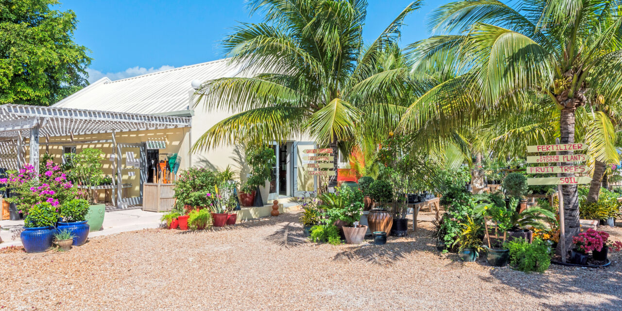 Sunshine Nursery Visit Turks and Caicos Islands