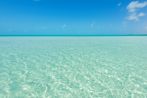 Calm and clear ocean water during a sunny day at Taylor Bay Beach