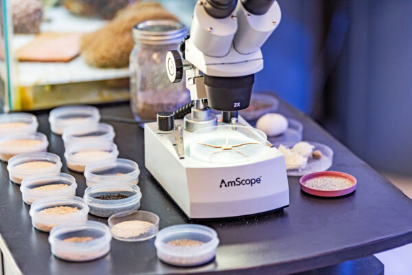 Microscope with sand samples at a marine biology lab in Turks and Caicos. 