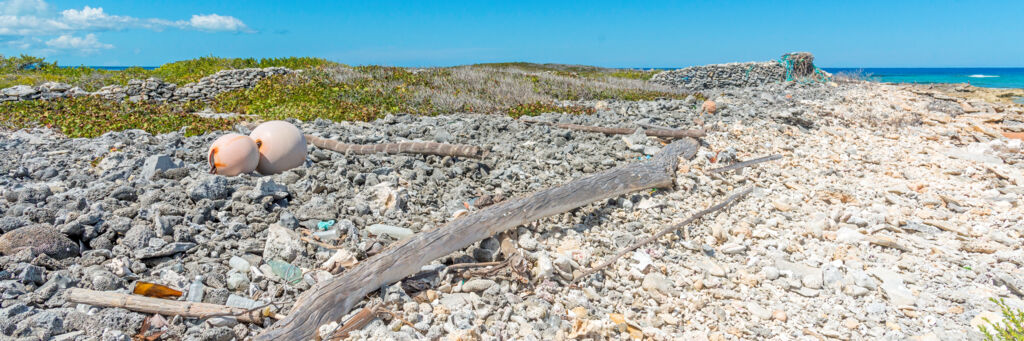 Thatch Cay