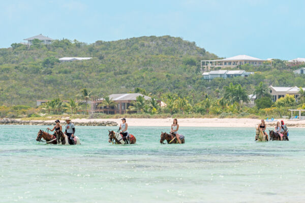 Horseback riding in shallow water off of Thompson Cove Beach in the Turks and Caicos