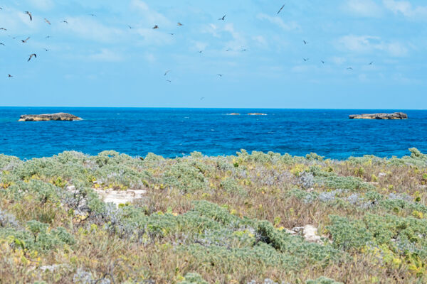 Three Brothers Rocks in Turks and Caicos