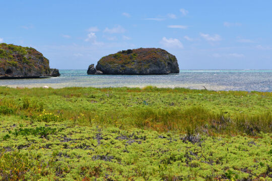 Tall rocky islands in the ocean