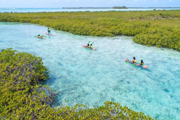 clear-bottom kayaks in a wetland in the Turks and Caicos