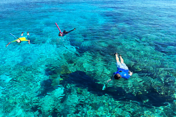 Snorkelers floating on the water over the Caicos Barrier Reef