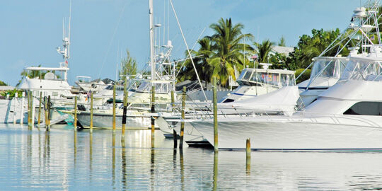 Sport fishing boats docked at Turtle Cove Marina