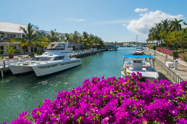 Charter boats docked in the canal at Turtle Cove Marina