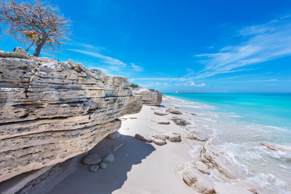 Soft limestone cliff on the beach at Water Cay