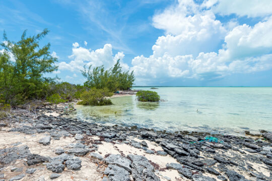 The rocky coastline and shallow water at Well Cay