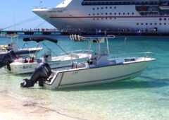 whale watching tours grand turk