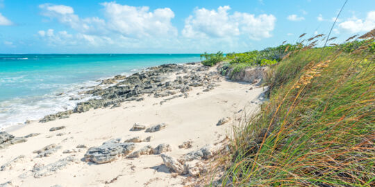 Wheeland Beach on the island of Providenciales in the Turks and Caicos