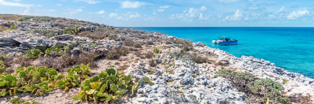 Coastline on White Cay