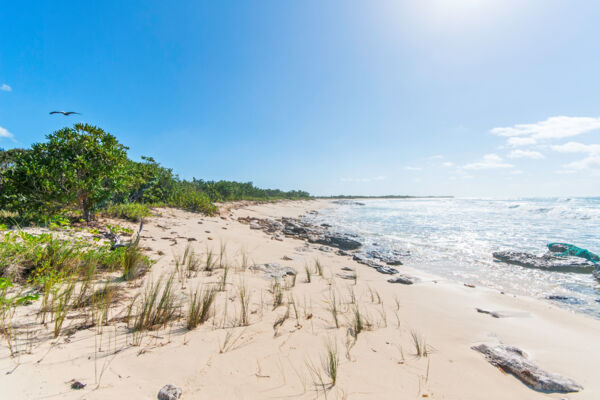 Beach on Providenciales near Wiley Cut