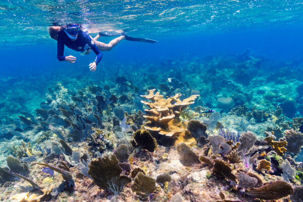 Freediver at Wiley Cut in the Turks and Caicos