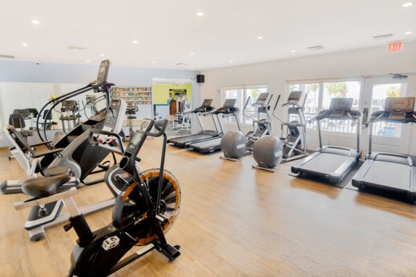 Treadmills and stationary bikes in a gym