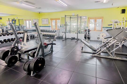 Weights in a gym